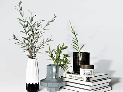 Decorative Ornament Set With Green Plants White Gray Black Vases And Books 3d model