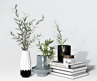 Modern Ornaments Combination Vase Plant Vase Ornaments Book Artwork Branches Green Leaf Flowers 3d model