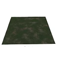 Lush Green Grass Field With Sunlit Shadows And Natural Fresh Growth