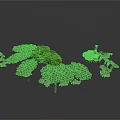 Natural Scenic Components With Stone Paths Small Trees And Scattered Stone Pieces