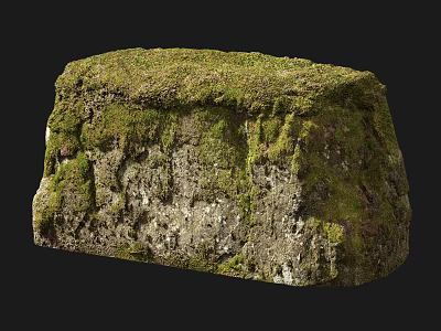 Rustic Stone Wood Block With Green Moss Covering Natural Surface Texture 3d model