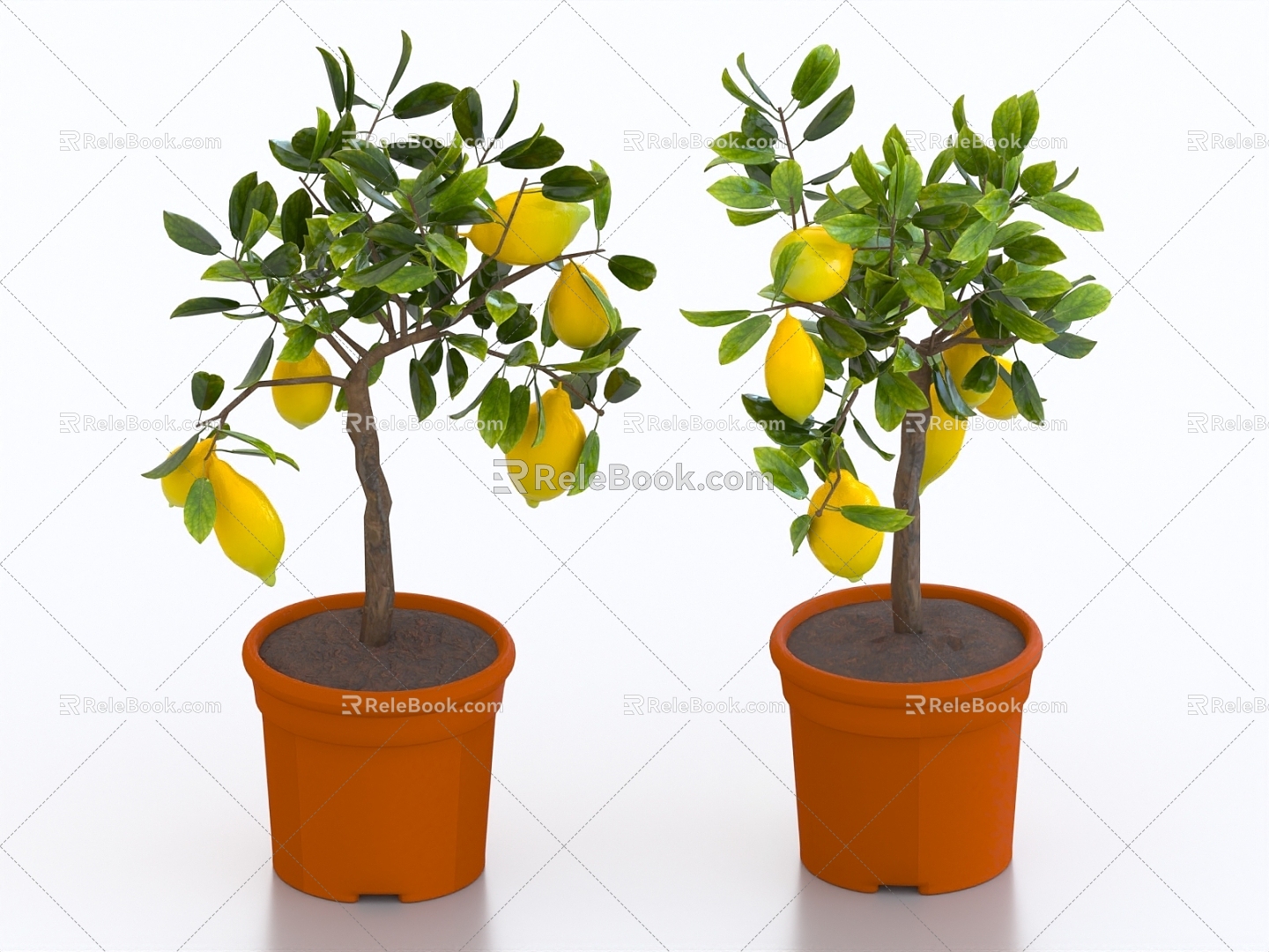 bonsai bonsai lemon tree fruit tree potted fruit tree potted lemon model