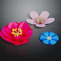 Modern Shop Front Desk Interior Featuring Red Pink Blue Decorative Flowers On Dark Background
