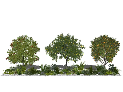 Fruit Bearing Trees With Ripe Fruits Lush Foliage And Ornamental Garden Plants 3d model
