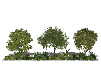 Modern Fruit Tree Landscape Tree Apple Tree Orange Tree Plant Shrub 3d model