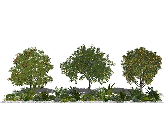 Modern Fruit Tree Landscape Tree Apple Tree Orange Tree Plant Shrub 3d model