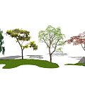 Modern tree landscape tree arbor landscape sketch 3d model