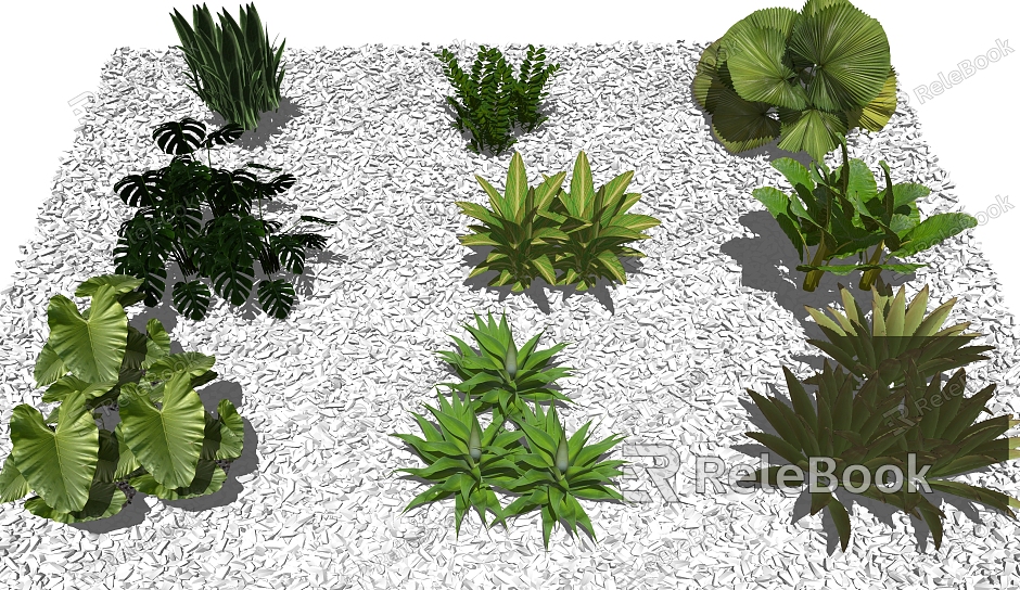 modern shrubs shrubs aquatic plants tropical plants palm family model