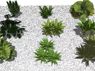 modern shrubs aquatic plants tropical plants palm family 3d model