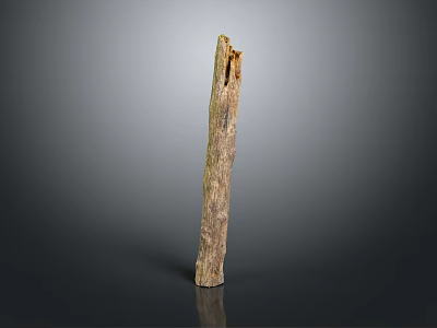 Natural Wooden Log Featuring Rough Surface And Rich Natural Texture On Gray Backdrop 3d model