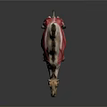 Camel Anatomical Model Showing Muscular Organs And Body Fur Details