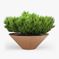 Charming Garden Decorative Pieces with Terracotta Pots Green Shrubs and Grasses