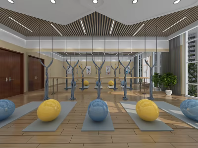 Spacious Fitness Studio With Yoga Balls Mirrors Wooden Floor Suspension Rings And Potted Plants 3d model