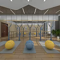 Spacious Fitness Studio With Yoga Balls Mirrors Wooden Floor Suspension Rings And Potted Plants