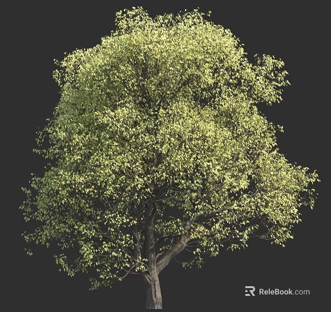 Lush Green Tree With Vibrant Foliage And Strong Trunk On Black Background 3d model 