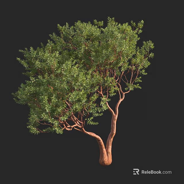 Lush Arbor With Green Leaves And Brown Branched Trunk In Natural Form 3d model 
