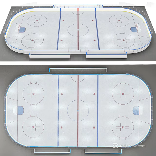 Ice Hockey Rink Fitness Sports Training Area With Standard Ice Markings Layout 3d model 