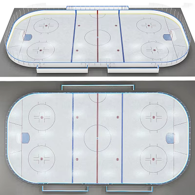Ice Hockey Rink Fitness Sports Training Area With Standard Ice Markings Layout 3d model