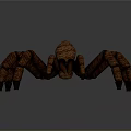 Realistic Brown Spider 3D Model With Textured Body And Long Legs