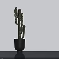Cactus Bonsai Plant in Black Pot Against White Wall On Dark Floor With Shadow