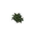 Ornamental Decoration Set with Life Size Tree Lush Green Leaves and White Flowers