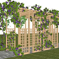 Wooden Pergola Covered With Green Vines Purple Grapes Stone Path Grass Lawn Wicker Basket