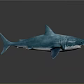 Shiny Blue Shark With Glossy Surface On Dark Background And Reflection 3d model