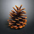 Brown and Orange Pine Cone with Detailed Scales on Dark Background 3d model