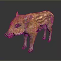 Baby Wild Boar with Orange Yellow Stripes Standing on Dark Background with Reflection