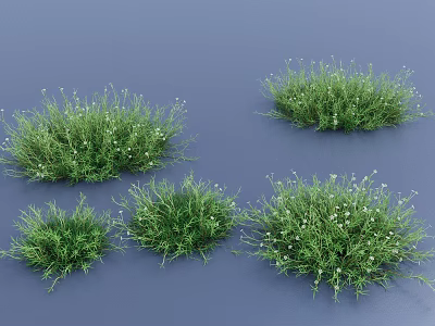Five Lush Green Grass Clusters With Small White Flowers on Blue Background 3d model