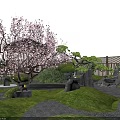 Traditional Japanese Garden Courtyard With Wooden Gazebo Cherry Blossom Trees Stone Pathway And Bamboo Fence