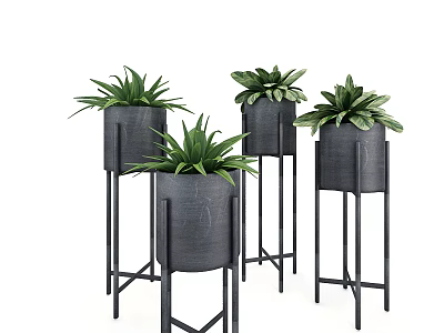 Modern Black Potted Plants on Metal Stands for Indoor Decoration Set of Four 3d model