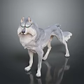 Realistic Wolf Character 3D Render With Detailed Gray Fur And Bright Eyes