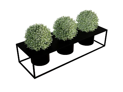 Three Round Green Decorative Potted Plants Placed on Black Rectangular Stand 3d model