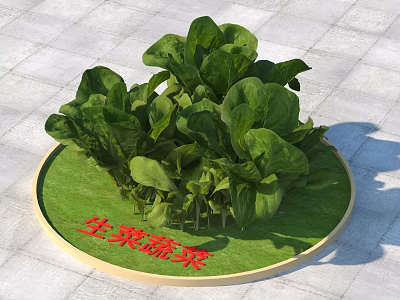 Healthy Fresh Lettuce Vegetables On Round Green Mat With Lush Leaves 3d model