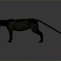 Realistic Black Panther Full Body Standing With Open Mouth On Gray Background