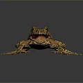 Frog Poison Frog Game Frog Reptile Cold Blooded Animal Reptile 3d model