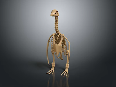 Artistic Detailed Wooden Animal Skeleton Sculpture with Long Neck and Claws 3d model