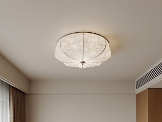 Quiet ceiling lamp 3d model