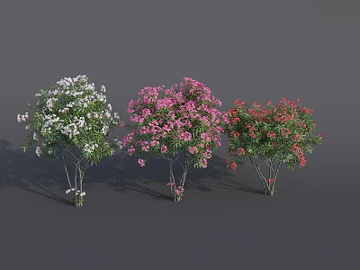 Colorful Flower Trees With White Pink Red Lush Blooms And Green Foliage 3d model