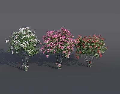 Colorful Flower Trees With White Pink Red Lush Blooms And Green Foliage 3d model
