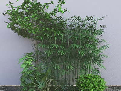 Tall Green Bamboo Plants With Lush Leaves And Surrounding Greenery Against Wall 3d model