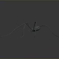 Spider with long thin legs and metallic texture on gray gradient background