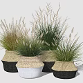 Decorative Potted Crops In Woven Baskets With White And Black Colors