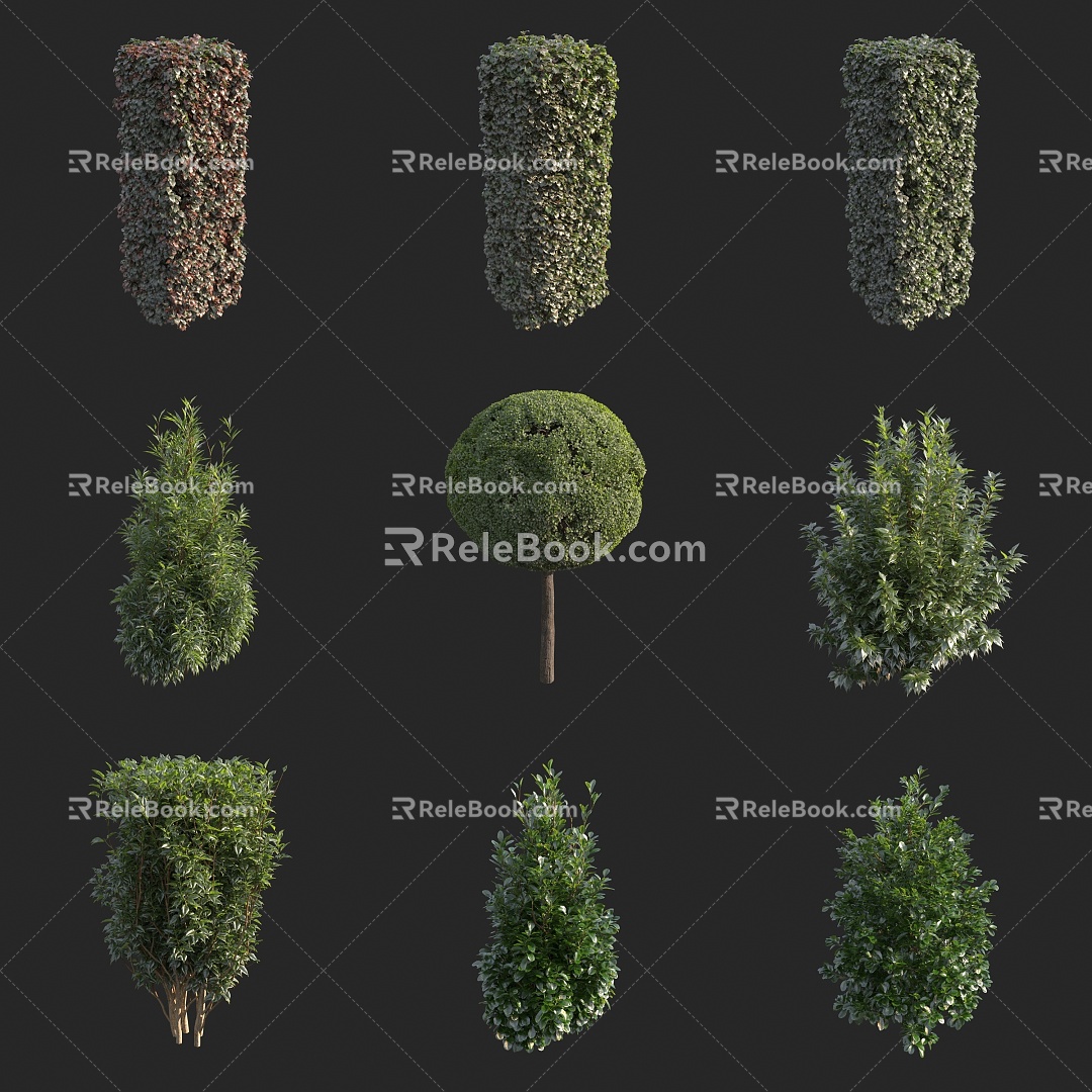 shrub hedgerow green belt plant 3d model