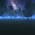 Enchanting Night Forest Scene With Starry Sky Milky Way Fireflies And Tall Trees