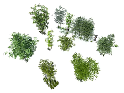 Various Bamboo Plants In Natural Garden Setting With Different Green Foliage 3d model