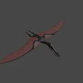 Dark Colored 3D Pterosaur Model With Spread Wings And Shadow
