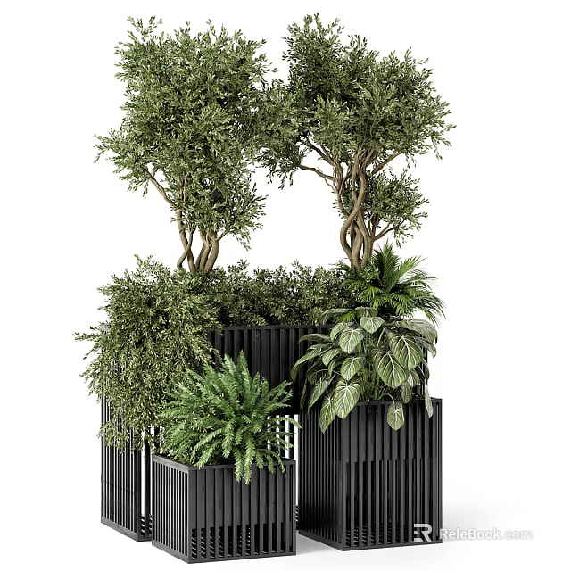 Lush Bonsai And Potted Green Plants With Various Foliage In Modern Black Planters 3d model 