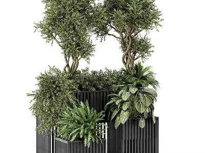 Lush Bonsai And Potted Green Plants With Various Foliage In Modern Black Planters 3d model